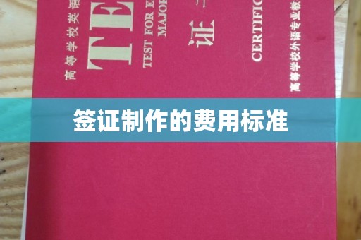 弥渡签证制作的费用标准