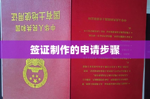 弥渡签证制作的申请步骤
