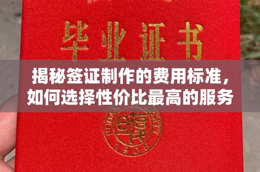 弥渡揭秘签证制作的费用标准，如何选择性价比最高的服务？